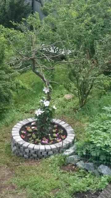 ���������. ����