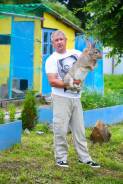 Кролики.