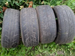 Tigar Prima. ������, �/�, ����� 70�% ����