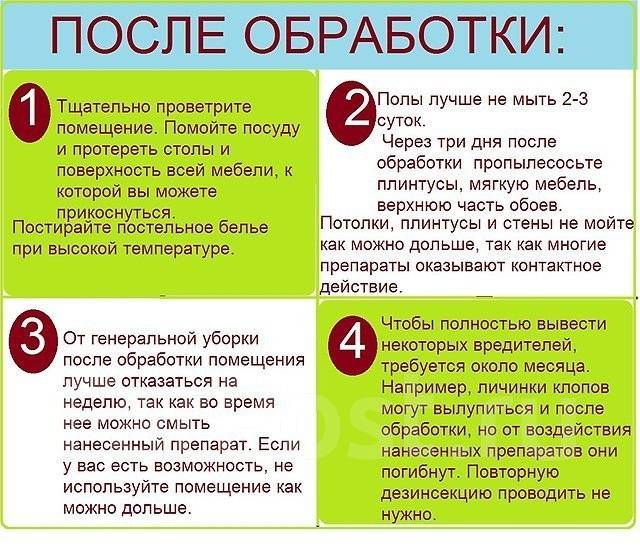 Можно ли спать на диване после обработки от клопов