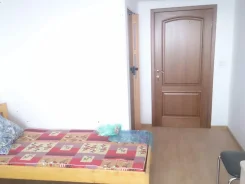 6 ������ � �����. ��������, 20,0���.��. ����