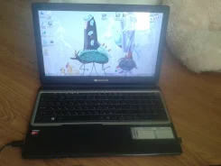 Packard Bell EasyNote. 15.6", 1,5����, Bluetooth ����