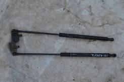 Амортизатор капота. Lexus IS250, GSE20, GSE25, GSE21