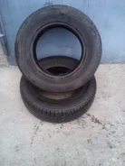 Michelin Energy E-V. ������, 2007 ���, 20�%, 2 ��