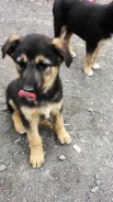 ������. ����