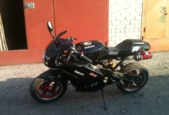 Ducati. 50����. ��., ��������, ���, � �������� ����