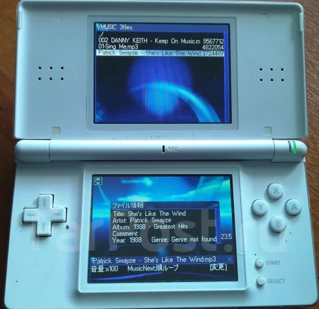 Nintendo DS Lite ����
