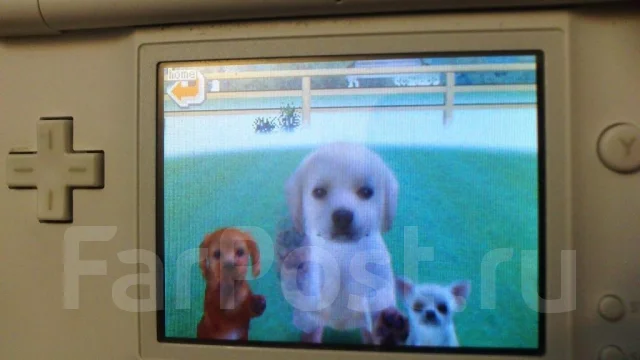 Nintendo DS Lite ����
