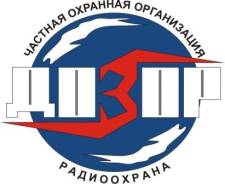 Диспетчер. ООО ЧОО ДОЗОР. Квартал ДОС (Большой Аэродром) 62
