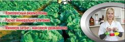 Почвогрунты.