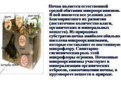 Почвогрунты.