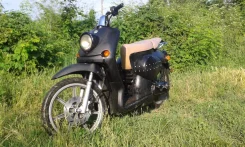 Stels Alpha 50. 49����. ��., ��������, ��� ���, � �������� ����