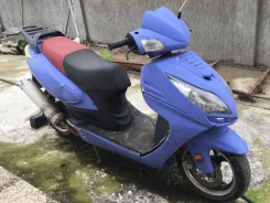 Irbis Nirvana. 150����. ��., ��������, ��� ���, � �������� ����