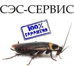 Уничтожение насекомых (клопы, тараканы, блохи) без запаха. Акция длится до 14 декабря