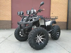 Yamaha Grizzly 250. ��������, ���� ���\���, ��� �������. ��� ����� �� ���������� ����