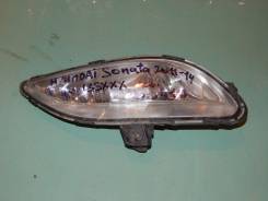 Противотуманная фара Hyundai Sonata, левая