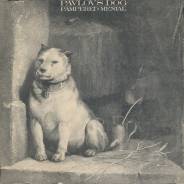 Винил Pavlov's Dog "Pampered menial" 1975 Holland