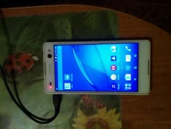 Sony Ericsson. �/� ����