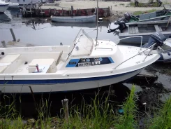 Yamaha Fish 17. ��������� ���������, ������ ����