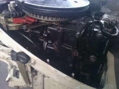 Johnson. 2-�������, ����������, ���� L (508 ��), 1997 ��� ����