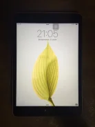 Apple iPad mini 3 Wi-Fi 64Gb
