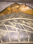 Toyo Trampio Guwn. ������, �/�, ����� 50�% ����