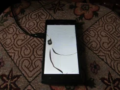 Fly FS501 Nimbus 3. �/� ����