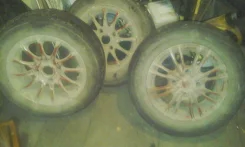 Gialla. x14"