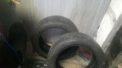 Dextero. ������, ��� �����, 20�%