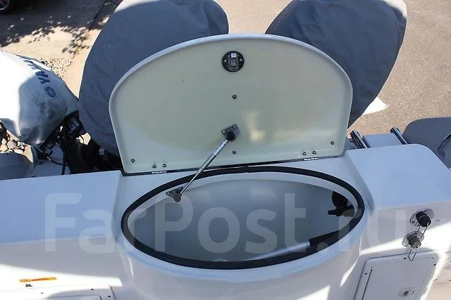 Striper. 2009 ���, ��������� ���������, ������ ����