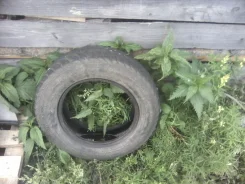 Goodyear UltraGrip Ice WRT. ������, ��� �����, 2012 ���, �/�, ����� 50�% ����