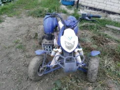 Bashan BS 100. ��������, ���� ���\���, � �������� ����