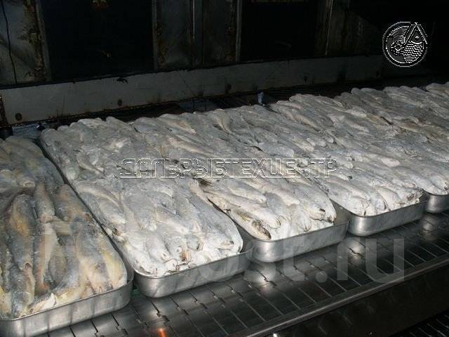 Работа заморозке. Блок форма для заморозки рыбы 700х250. Фасовка замороженной рыбы. Блочная заморозка рыбы. Замораживание рыбы.