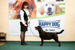 Услуги хендлера.