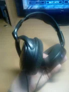 Philips SHP2000 ����