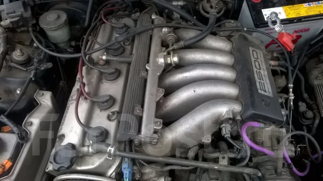 Honda Vigor. ECB5, G25A ����