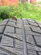 Bridgestone B250. ������, ��� �����, 2010 ���, 30�%, 4 ��