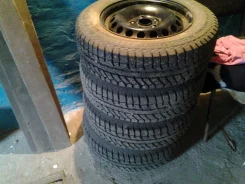 Cordiant Polar SL. ������, ����������, 2011 ���, 5�%, 4 ��