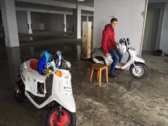 Yamaha Champ. 49����. ��., ��������, ���������, ������ �� �� ����