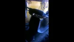 Honda Lead 100. ��������, ��� ���, � ��������. ��� ����� �� ������������ ����