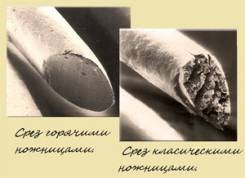 Стрижки.