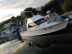Yamaha STR-25. 2010 ���, ��������� ���������, ������ ����