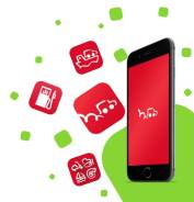  php. LLC Drom.   242