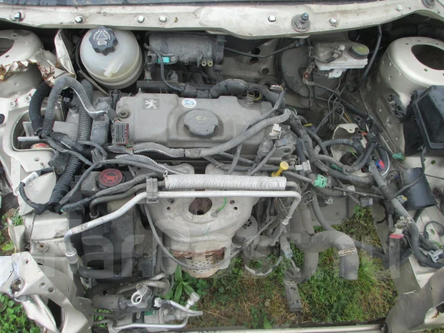 Peugeot 206 ����