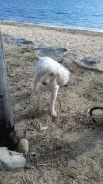 ������. ����