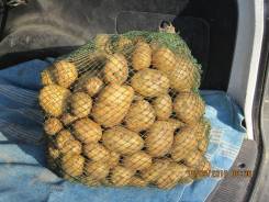 Картофель.