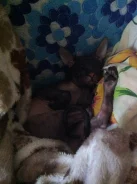 ������. ����