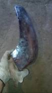 Клык бампера. ГАЗ