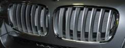 Решетка радиатора. BMW X6, E71