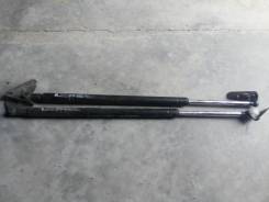 Амортизатор двери багажника. Toyota Ipsum, CXM10G, SXM10G, SXM15, SXM10, SXM15G, CXM10